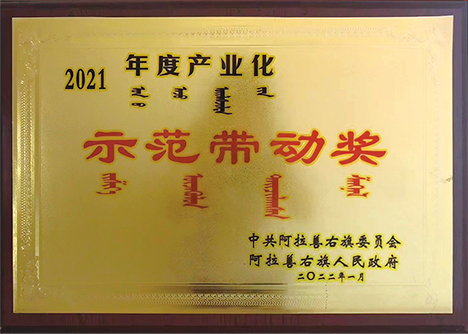 2021年度產業(yè)化示范帶動獎